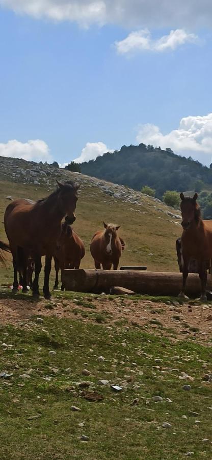 Na Krovu Svijeta Gornji Lukomir Exterior foto